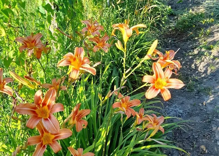 Nyugalom Sziget Vendeghaz